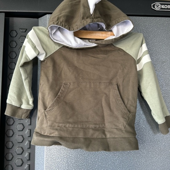 Tommy Bahama spiked dinosaur hoodie & sweatpants Sz 12 months - Picture 7 of 10